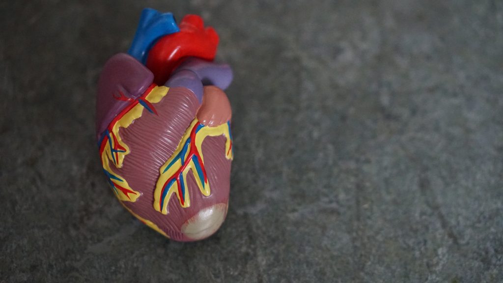 heart patch for cardiac rehabilitation